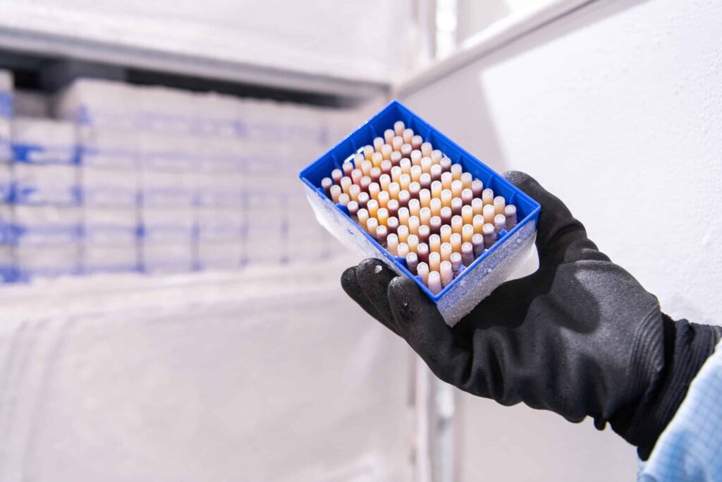 A gloved hand holds a rack of samples taken from the freezer