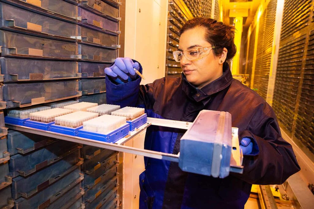 A scientist looks closely at a sample whilst pulling a rack out of the store